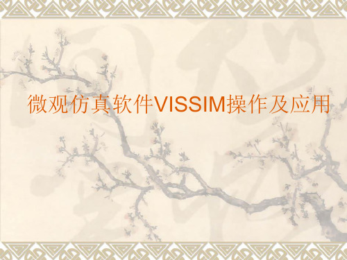 VISSIM-仿真课讲稿