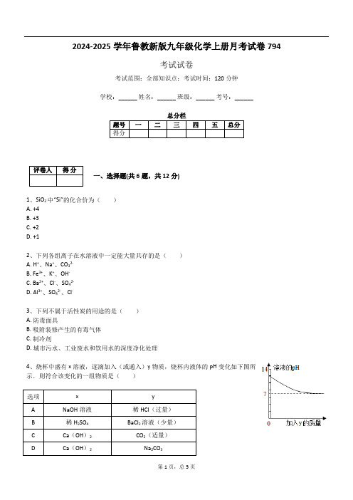 2024-2025学年鲁教新版九年级化学上册月考试卷794