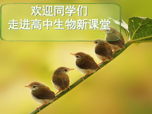 学习高中生物的方法 PPT课件