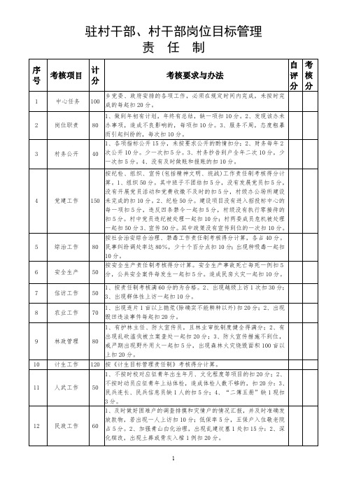 驻村干部、村干部岗位目标管理