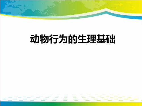 《动物行为的生理基础》PPT【完美版课件】