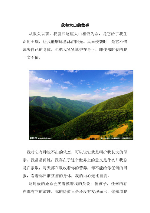 我和大山的故事