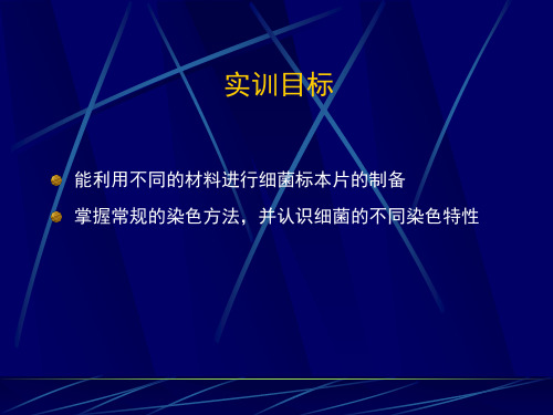 细菌标本片的制备及染色方法