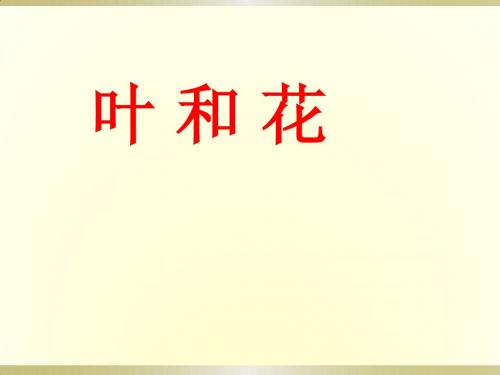 科学三年级 叶和花