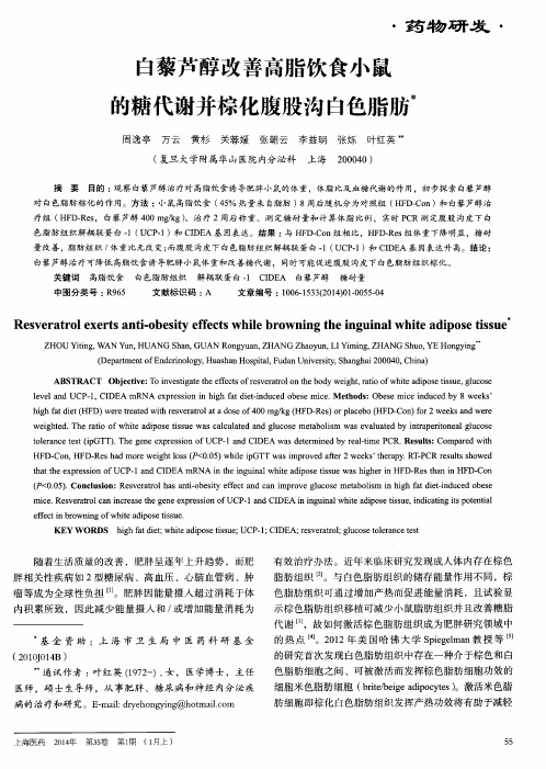 白藜芦醇改善高脂饮食小鼠的糖代谢并棕化腹股沟白色脂肪