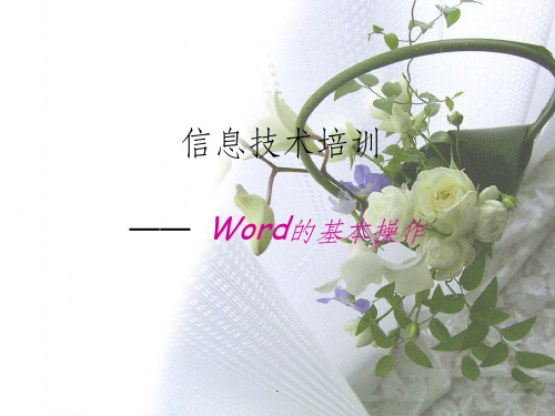 Word和excel的基本操作ppt课件