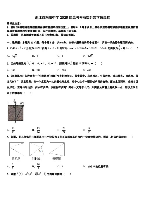 浙江省东阳中学2025届高考考前提分数学仿真卷含解析