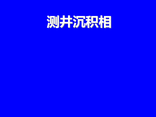 (新)测井沉积相分析