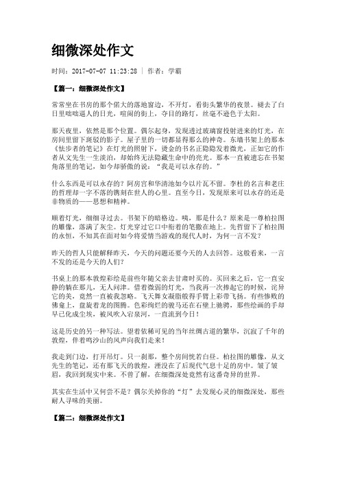 细微深处作文