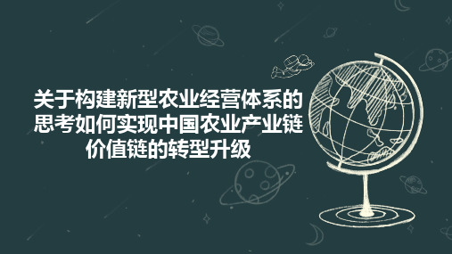 关于构建新型农业经营体系的思考如何实现中国农业产业链 价值链的转型升级