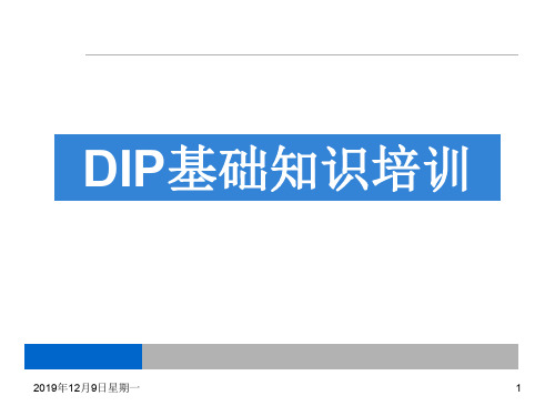 DIP基础知识培训