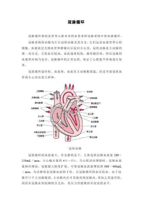 输送血液的泵--心脏拓展资源-冠脉循环