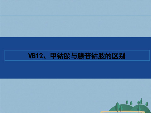 VB、腺苷钴胺与甲钴胺的区别(共20张PPT)