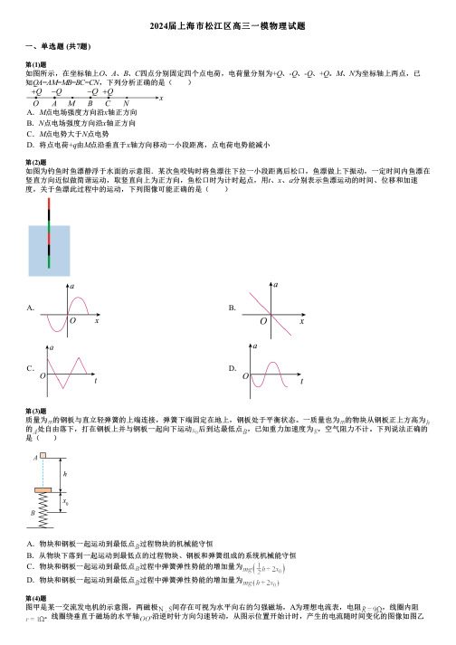 2024届上海市松江区高三一模物理试题