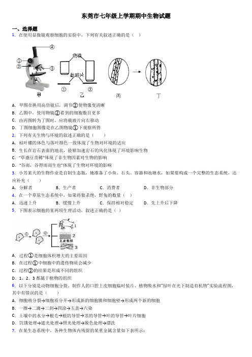 东莞市七年级上学期期中生物试题