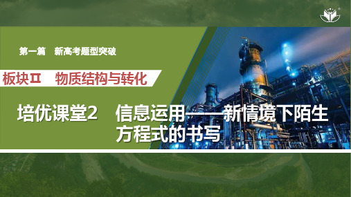 高中化学复习 培优课堂2 信息运用——新情境下陌生方程式的书写