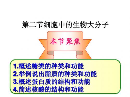 2.2细胞中的生物大分子20130906