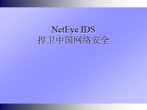 东软公司网络安全产品NetEye_IDS(PPT42页)