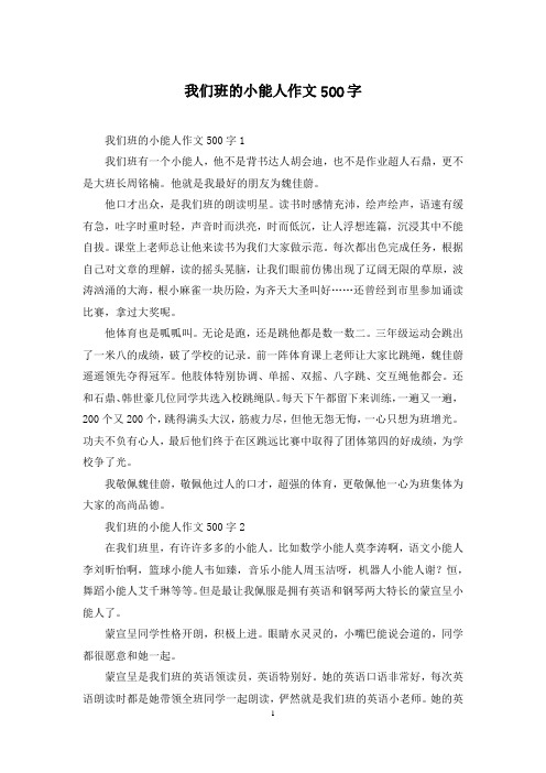 我们班的小能人作文500字