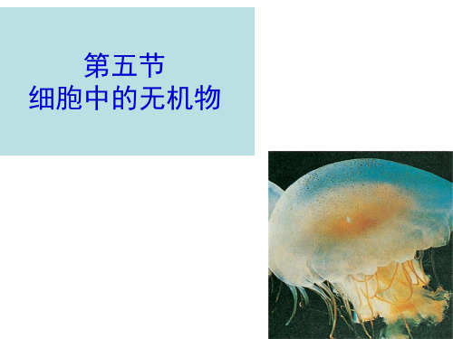 10第二章第五节细胞中的无机物