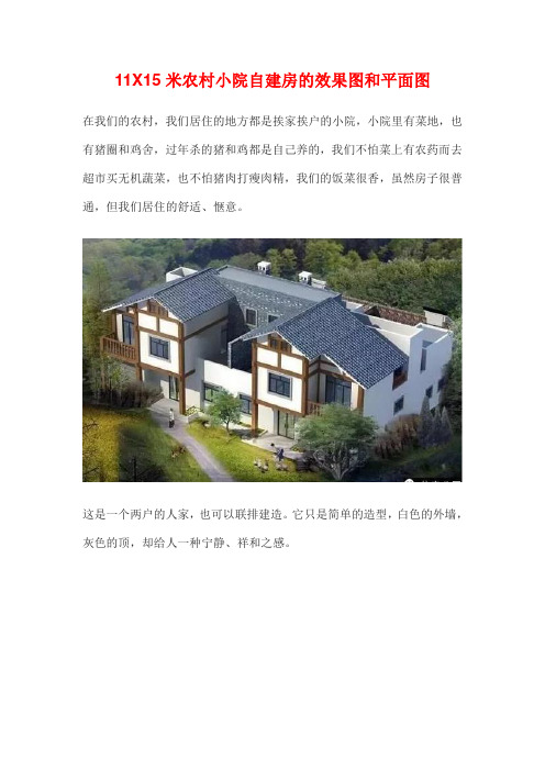 11X15米农村小院自建房的效果图和平面图