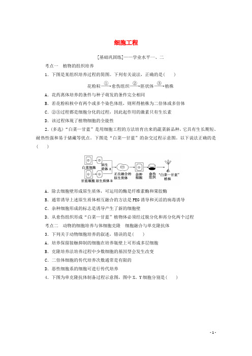 2022届新教材高考生物一轮复习课后检测40细胞工程含解析