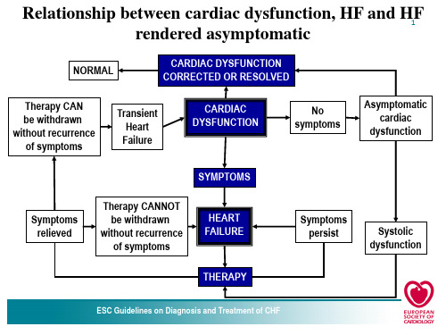 ESC慢性心衰指南PPT课件
