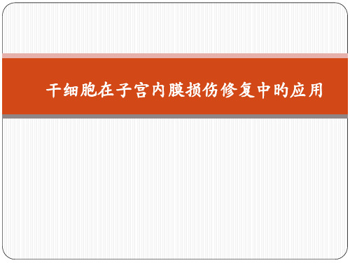干细胞在子宫内膜损伤修复中的应用