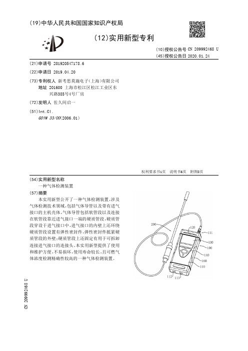 【CN209992468U】一种气体检测装置【专利】