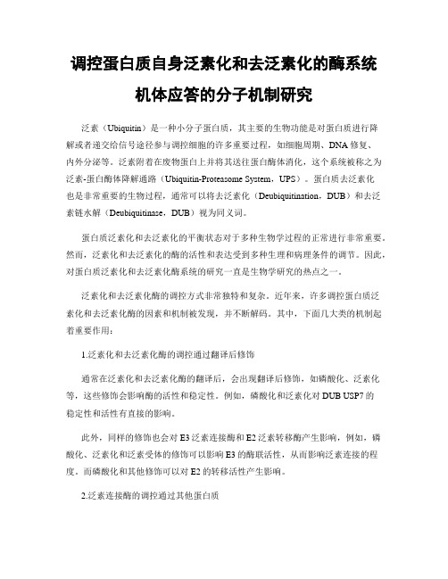 调控蛋白质自身泛素化和去泛素化的酶系统机体应答的分子机制研究