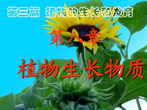 植物生理学第八章生长物质(激素)1