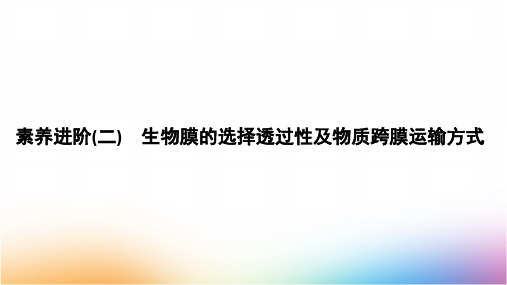 人教版高中生物必修1第4章  素养进阶 生物膜的选择透过性及物质跨膜运输方式精品课件