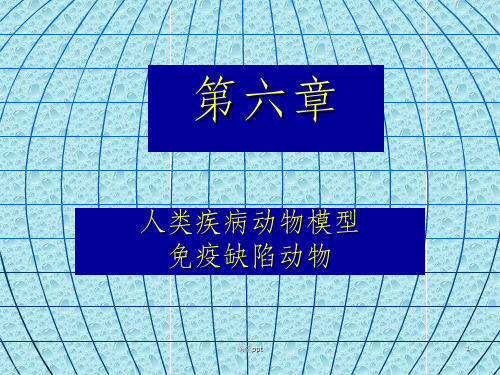 李善刚《医学实验动物学》9第六章 动物模型和免疫缺陷动物