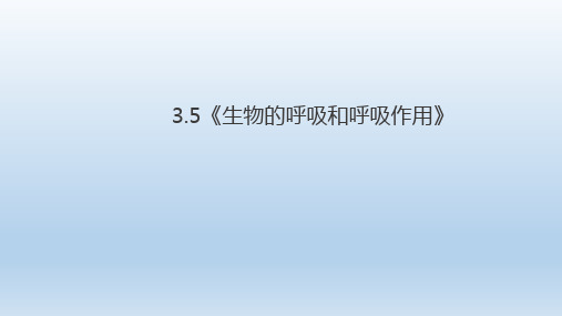 八年级下《生物的呼吸和呼吸作用》PPT课件下载浙教版