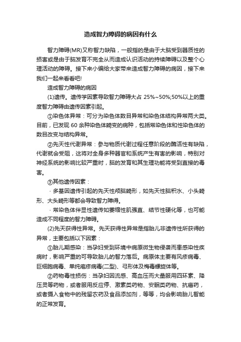 造成智力障碍的病因有什么