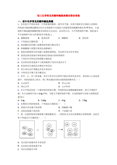 初三化学常见的酸和碱提高测试卷含答案