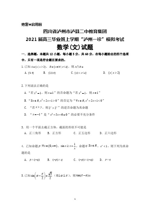 四川省泸州市泸县二中教育集团2021届高三毕业班上学期“泸州一诊”模拟考试数学(文)试题及答案