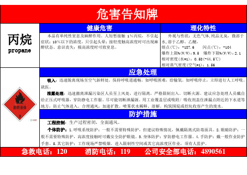 丙烷、乙烯、异戊烷、天然气、氮气危害告知牌(5个)