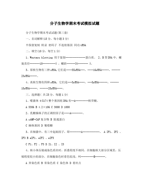 分子生物学期末考试模拟试题