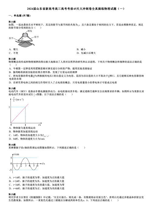 2024届山东省新高考高三高考考前45天大冲刺卷全真演练物理试题(一)