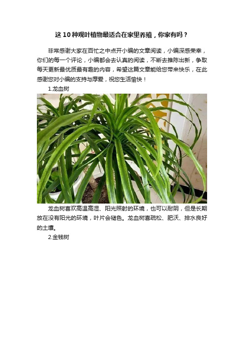 这10种观叶植物最适合在家里养殖，你家有吗？