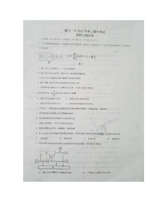 学16—17学年下学期高二期中考试生物试题(图片版)(附答案) (1)