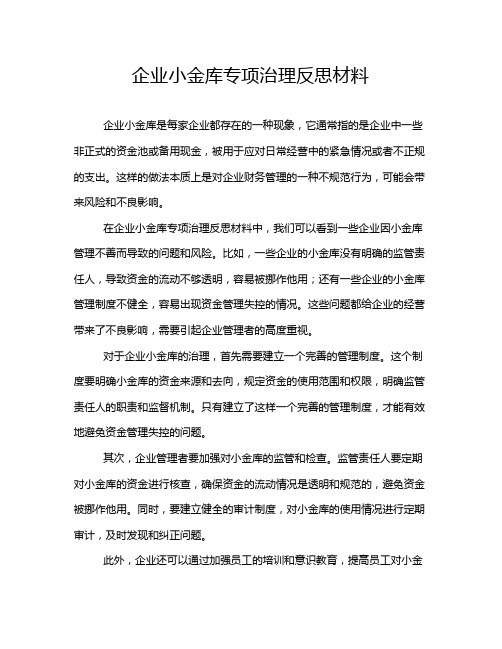 企业小金库专项治理反思材料