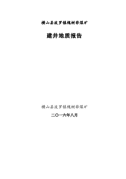 槐树峁煤矿建井地质报告12