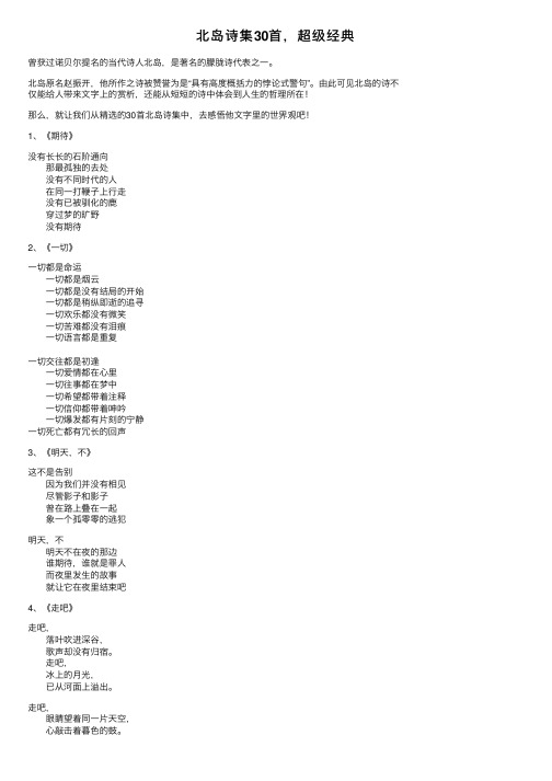 北岛诗集30首，超级经典