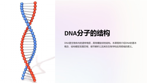 DNA分子的结构(公开课课件)