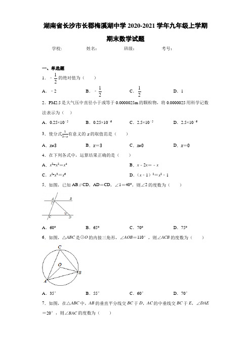 湖南省长沙市长郡梅溪湖中学2020-2021学年九年级上学期期末数学试题