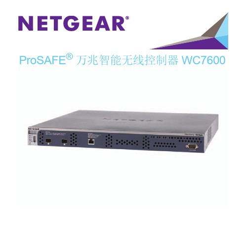 ProSAFE 万兆智能无线控制器 WC7600 商品说明书