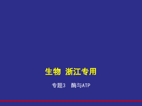 专题3 酶与ATP