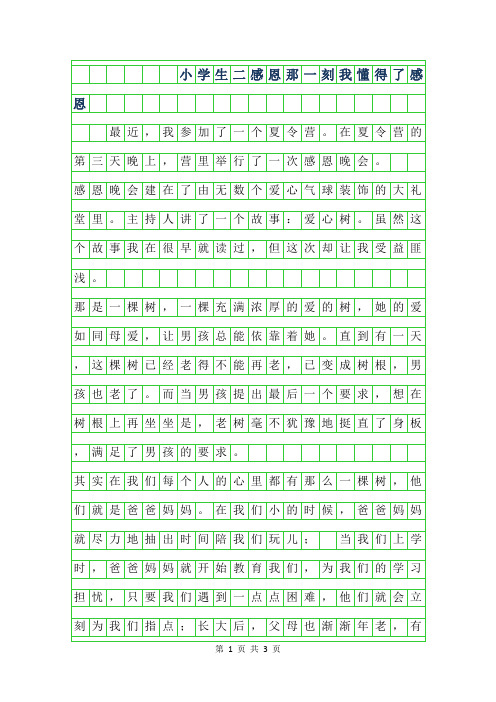 2019年小学生二年级感恩作文-那一刻我懂得了感恩